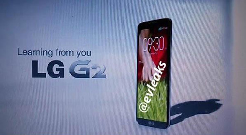 LG
